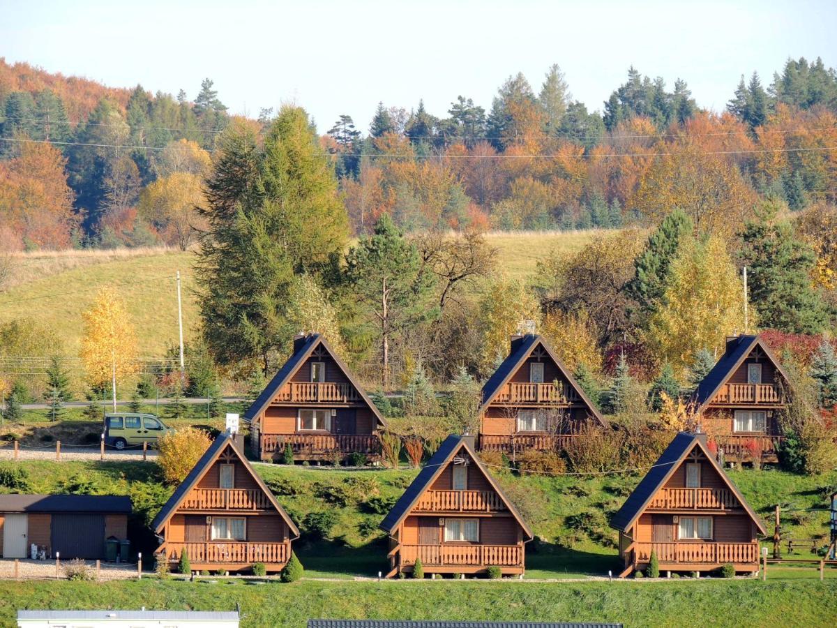 Edwardowka 601-130-636 - Lipiec - Sierpien - Basen W Cenie Wynajmu Domku Chalet Polanczyk
