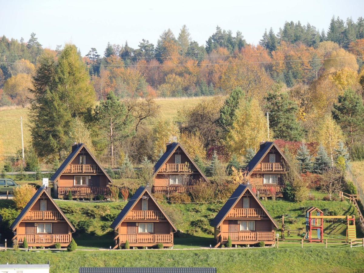 Chalet Edwardowka 601-130-636 - Lipiec - Sierpien - Basen W Cenie Wynajmu Domku